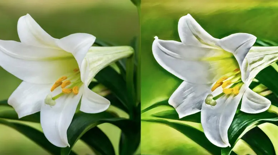 Photoshop original vs ai work