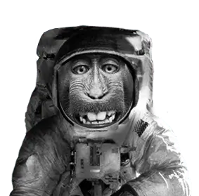 Freddie Chief Astronut